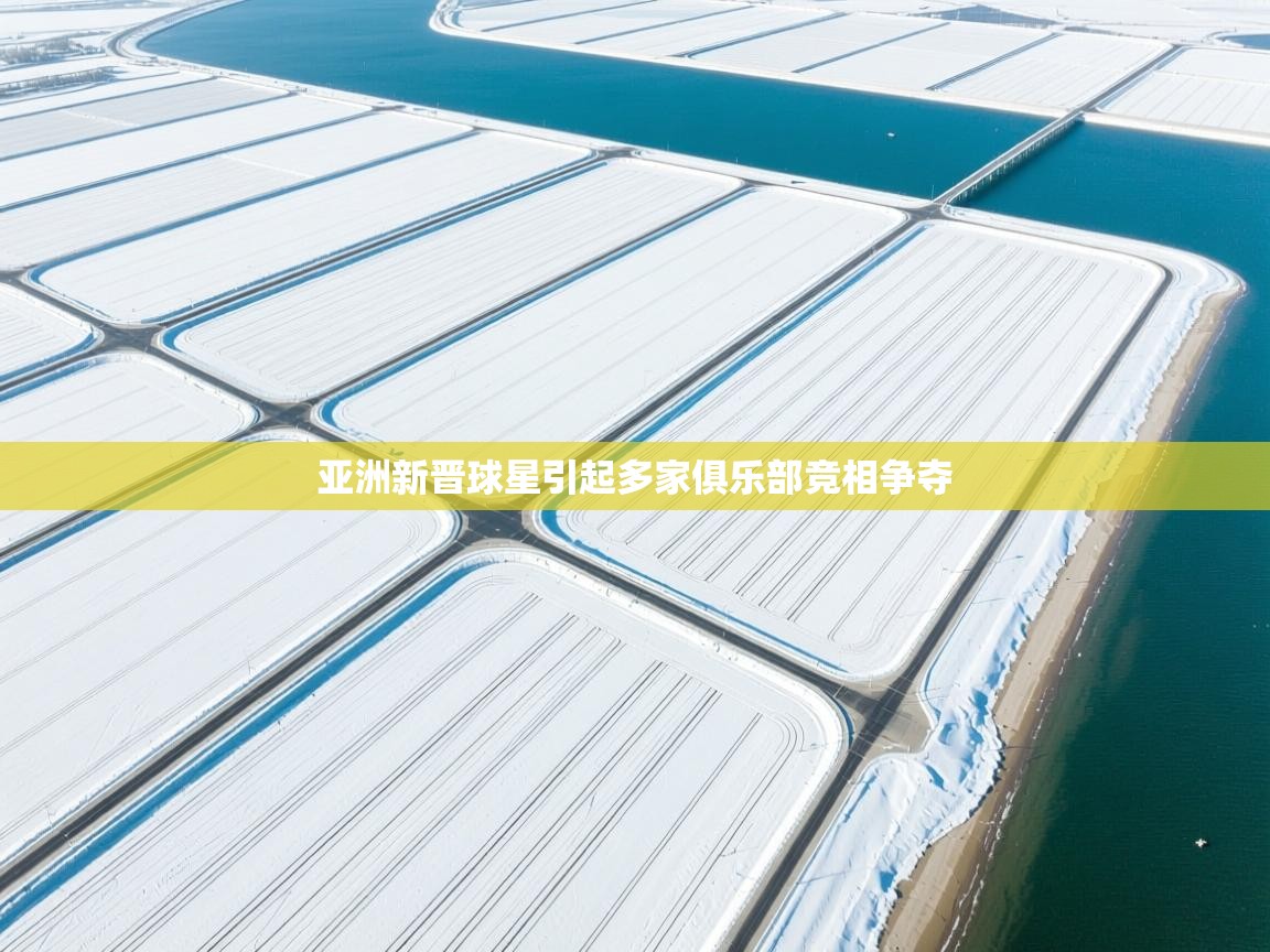 亚洲新晋球星引起多家俱乐部竞相争夺  第2张