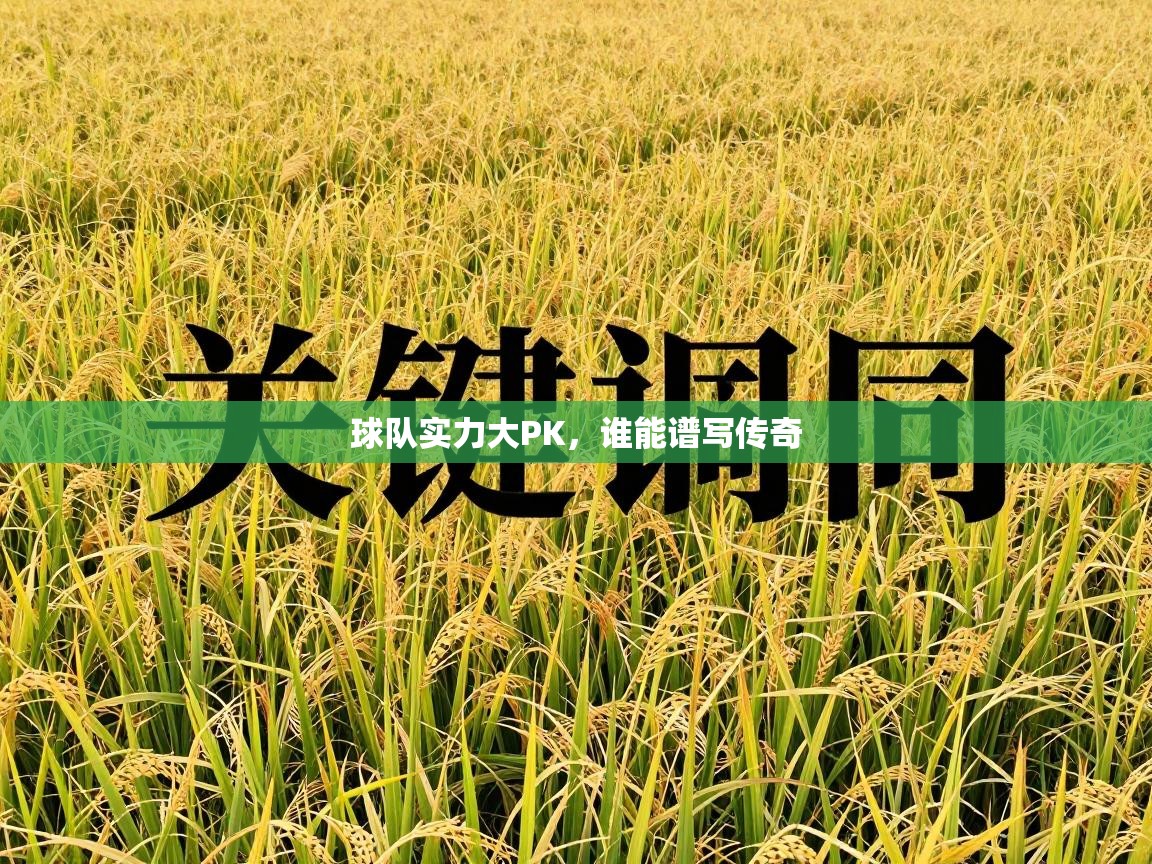 球队实力大PK，谁能谱写传奇  第2张