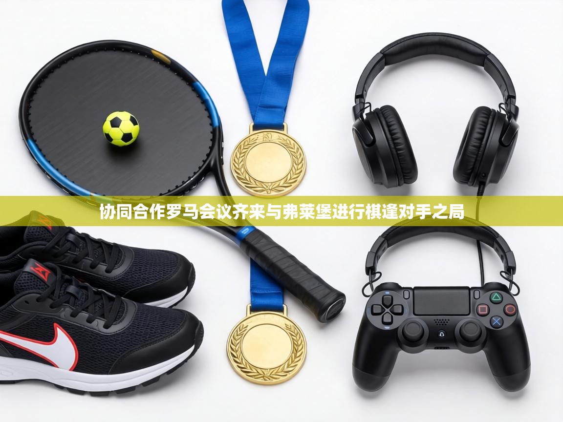 协同合作罗马会议齐来与弗莱堡进行棋逢对手之局 第2张